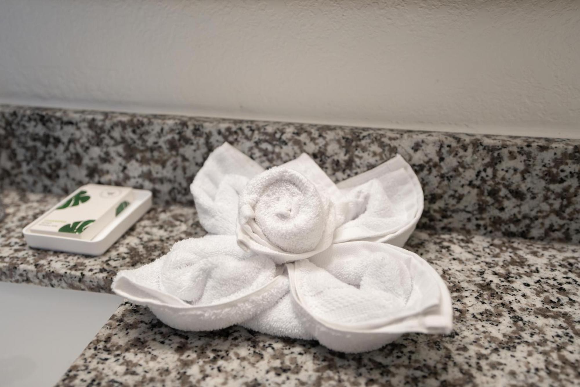 Oasis Bay Suites, Tampa, Busch Gardens, Usf Luaran gambar