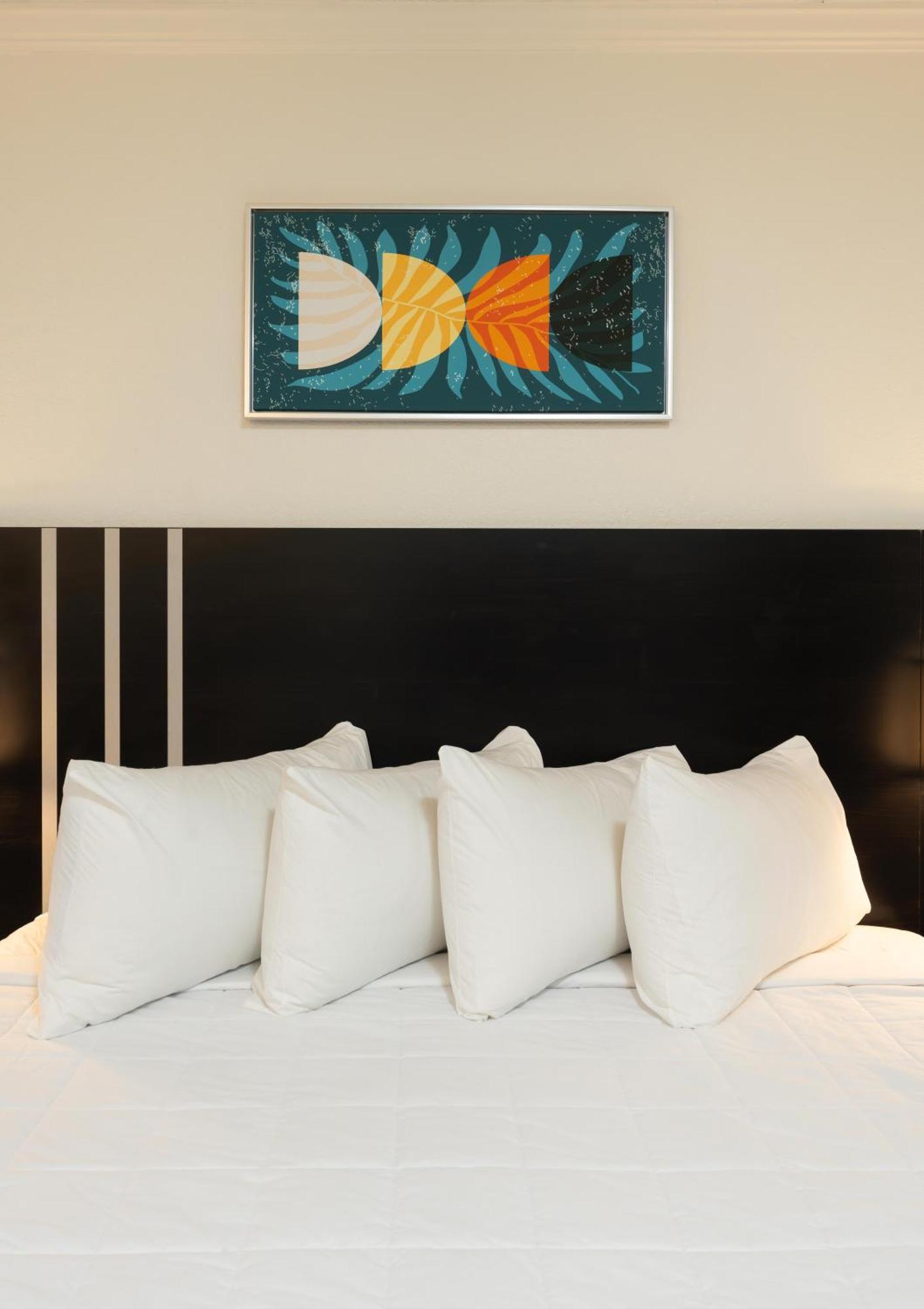 Oasis Bay Suites, Tampa, Busch Gardens, Usf Luaran gambar