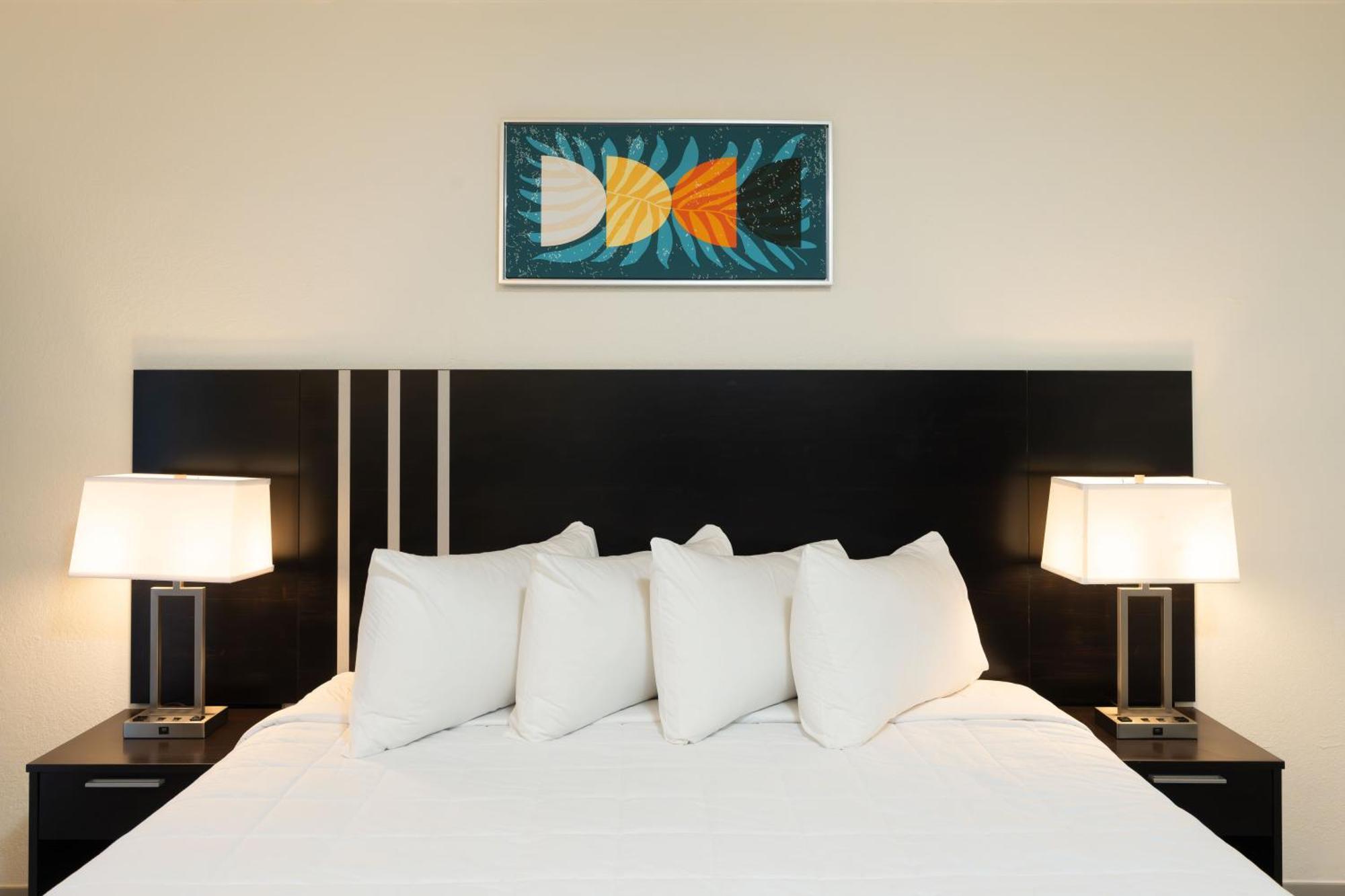 Oasis Bay Suites, Tampa, Busch Gardens, Usf Luaran gambar