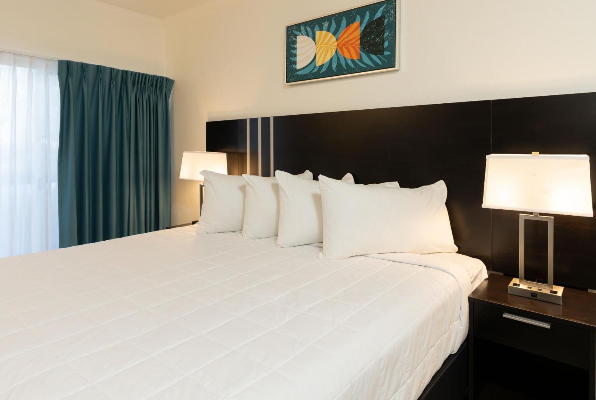 Oasis Bay Suites, Tampa, Busch Gardens, Usf Luaran gambar